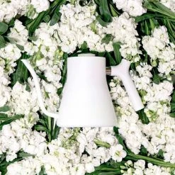 Fellow Stagg White Kettle 7 Fellow Stagg White Kettle