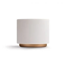 Fellow Monty Latte Art Cups